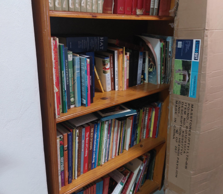 (150- S/OORD H)- PINE SHELF- R 400