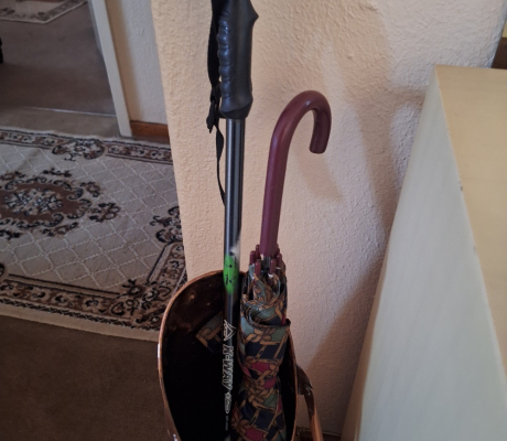 (ALB - 77) WALKING STICK AND UMBRELLA  R100