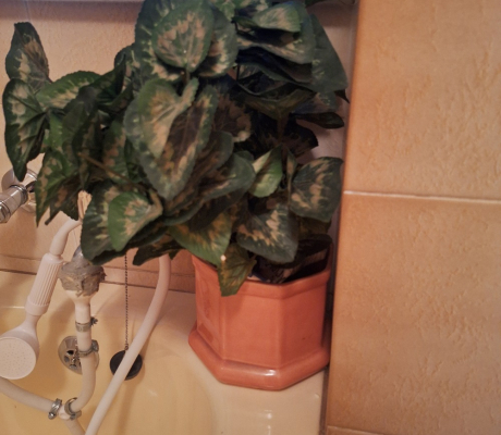 (ALB - 117) ARTIFICIAL PLANT (BATHROOM)  R30
