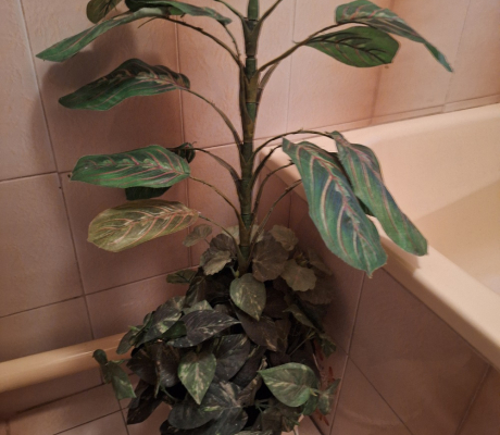 (ALB - 118) ARTIFICIAL PLANT (BATHROOM)  R50