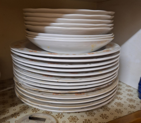 (ALB - 130) VARIOUS PLATES  R80