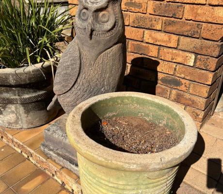 (G 41- S/OORD)- OWL STATUE- R 500