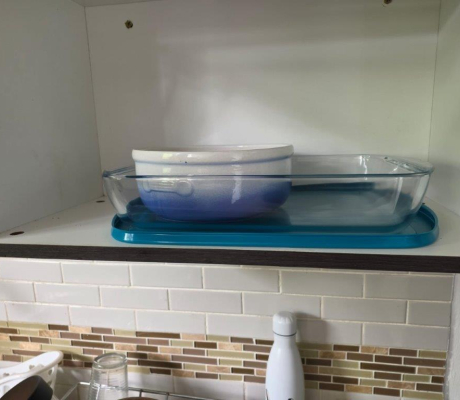 (BI50) White and blue dish