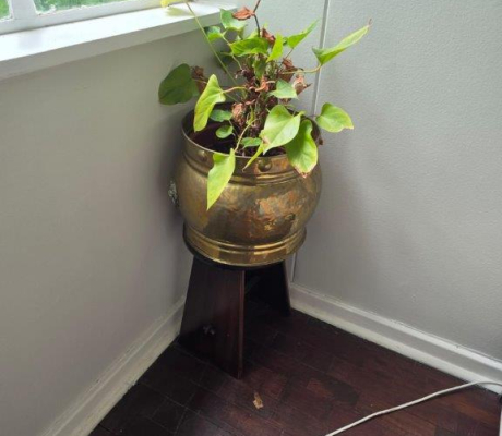 (BI2) Plant in brass pot