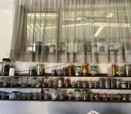 (2- SUIDEROORD)- JARS WITH SCREWS (R10 TO R30 PER JAR) PRICE ON DAY