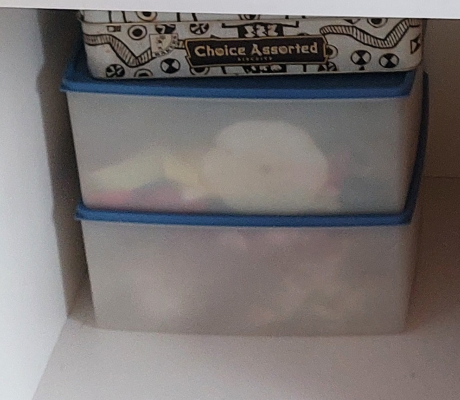 (135- S/OORD H)- 2 X BLUE LID CONTAINERS- R 40