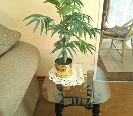 (ALB - 19) PALM IN COPPER POT  R150