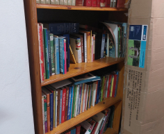 (150- S/OORD H)- PINE SHELF- R 400
