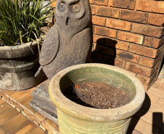(G 41- S/OORD)- OWL STATUE- R 500
