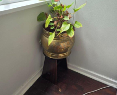 (BI2) Plant in brass pot