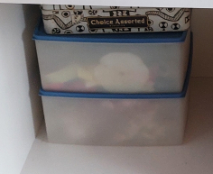 (135- S/OORD H)- 2 X BLUE LID CONTAINERS- R 40