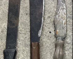 (69- SUIDEROORD)- MACHETE AND BOWIE STYLE KNIFE- R 100